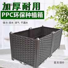 ��픑����̨�Nֲ���ͥ¶̨�߲˷N���軨�ۻ���ˈ@��������̫��