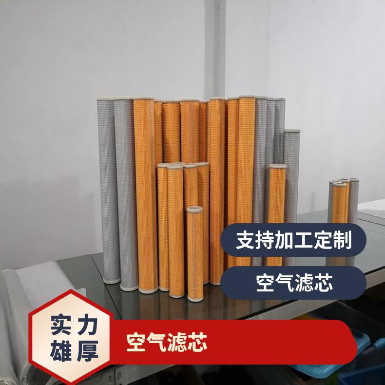 Deltech玳尔特克滤芯PFD216 玻璃纤维 空气 型号77007055 过滤器