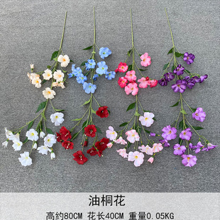 ������ͩ�� �{ɫ���� ��Ȼ�͹��L  �Ҿ��b� ��ˇ�쾰 ���g���û�