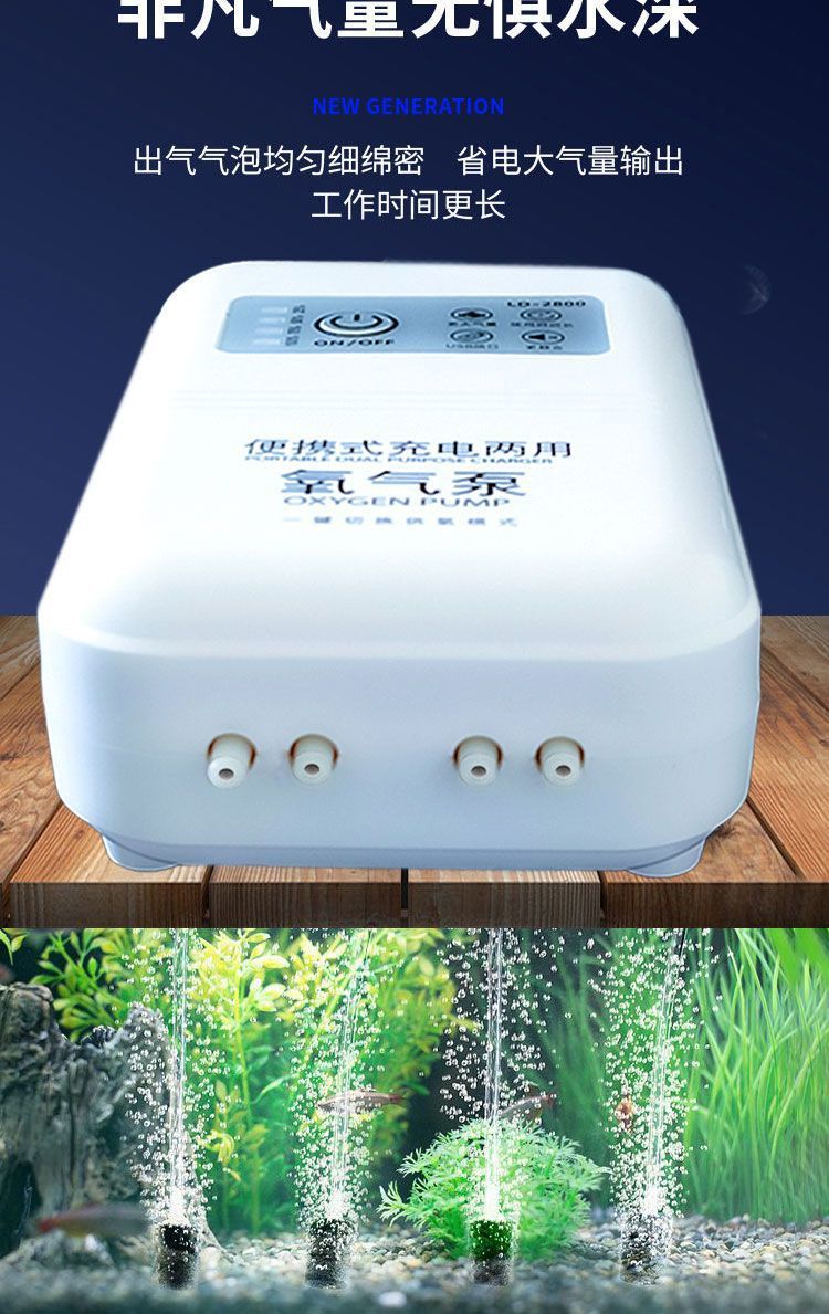 aaaa721b-b5c0-41b3-abf5-0d0252a292a0.jpe