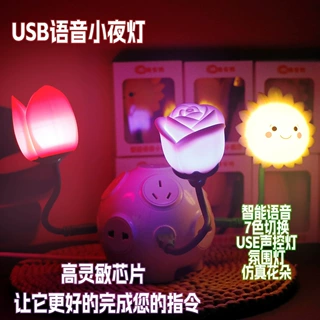 智能语音小夜灯USB插口调节亮度节能护眼卧室家用插电式床头灯