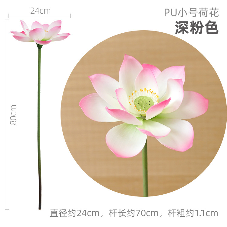 Pequeño loto rosa oscuro