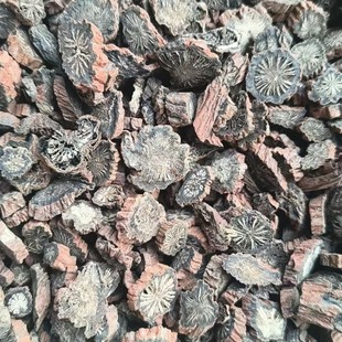 ��Ƥ������500g�ϵ����t�����l����Ƭ��ˮ�����赤�����l�l��