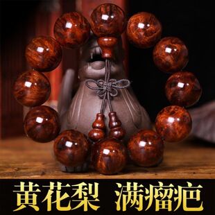 �x�Ժ����S�����ִ� �M���̽��㺣�Sľ2.0��Ů�ִ����������Ϸ���