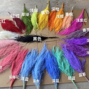 ������횲ݵ��׼Ҿ��bڒ���ֲ�� ��c�b��J�S����ë����횲�