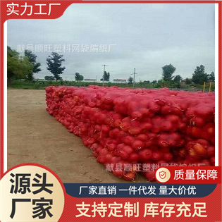 厂家供应 红色玉米网眼袋 贝贝南瓜网眼袋 pp蜜柚 洋葱塑料网袋