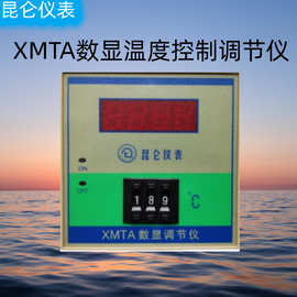 XMTA数显温度控制调节仪2001/3001温度测控仪