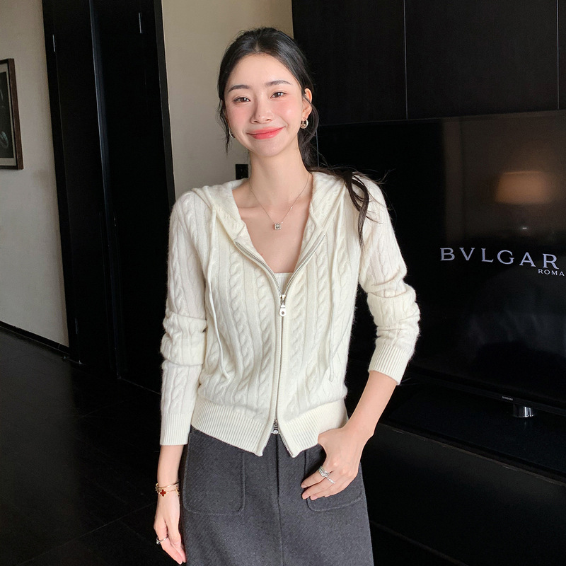 Heavy Weight Cashmere Knitted Cardigan Women's Autumn and Winter Outer Sweater Soft Waxy Twist Bottoming Top Wool Zipper Jacket