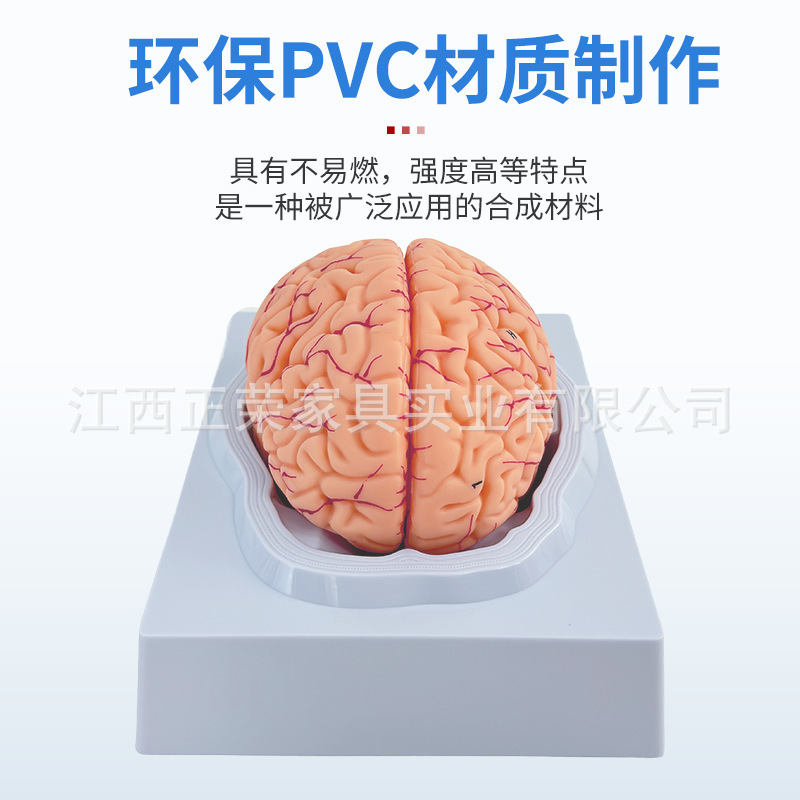 幼儿园科学探索实验器材教具发现室益智玩具中小学科技馆科普stem|undefined