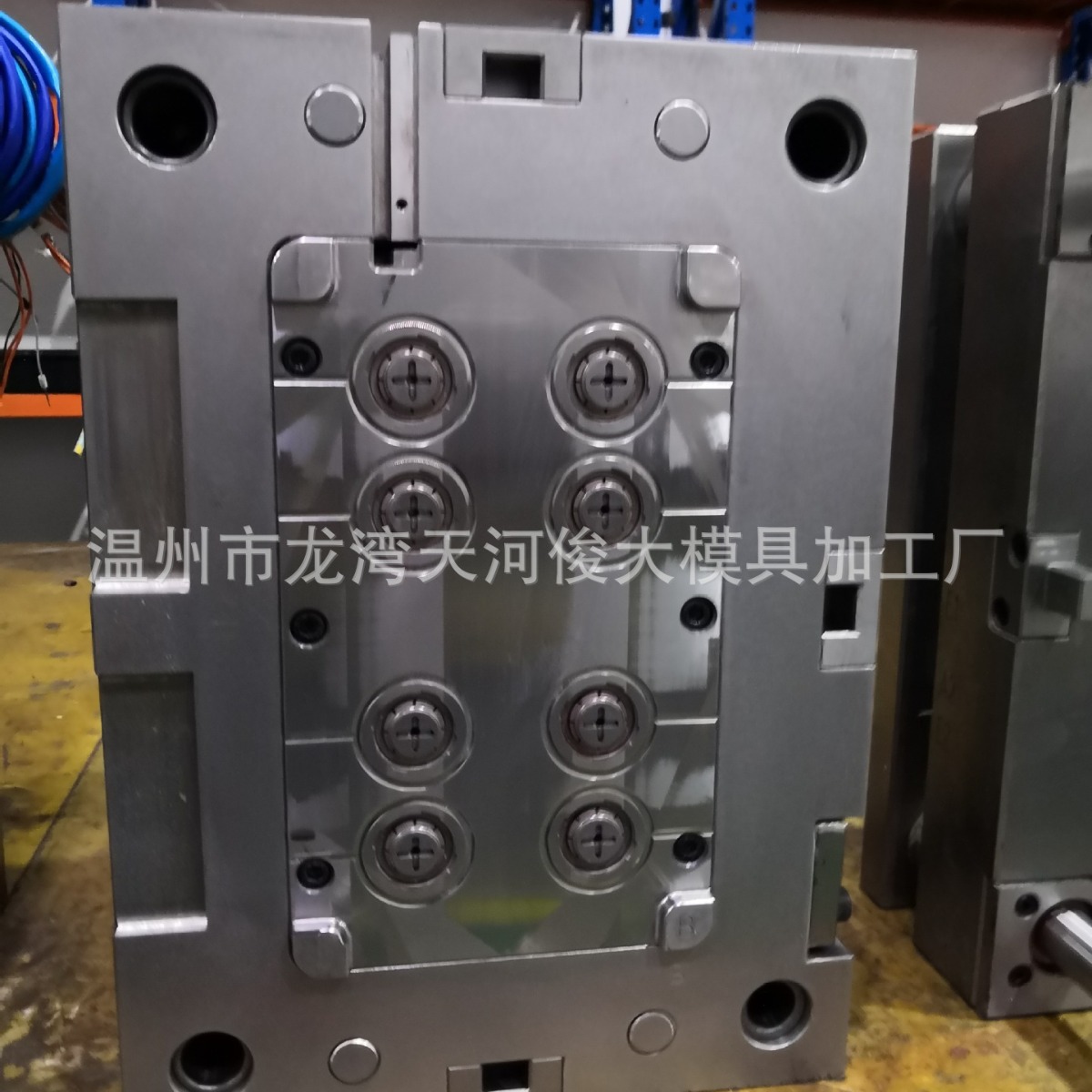 温州注塑模具  塑料开关模具 塑料模具 专业胶木模具