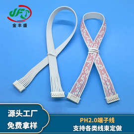 金丰盛直供PH2.0端子线 2468红白排连接线 双头反向数据传输线