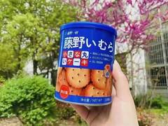 Fujino Ichimura sea salt Japanese round finger biscuits coconut milk roll chocolate roll Hokkaido shrimp crackers canned