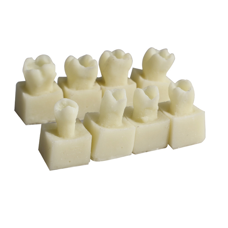 Ejercicios de inserción de resina diente granular modelo de ejercicio de relleno dental modelo de ejercicio de relleno de resina oral
