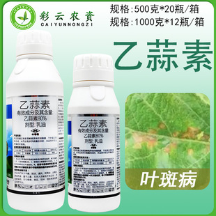 ������80%�������O�����~�߲�������������������rș�r�Ú�����