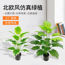 羳طGֲ~ Ҿ̈Ƶ٘辰b