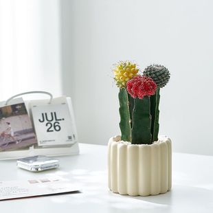 ��ɫ����������ɫ��M��Ʒ�N���_������ֲ�������k��������Gֲ