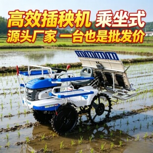 2026高性价比小型农用插秧机推荐｜享国家补贴｜1688批发