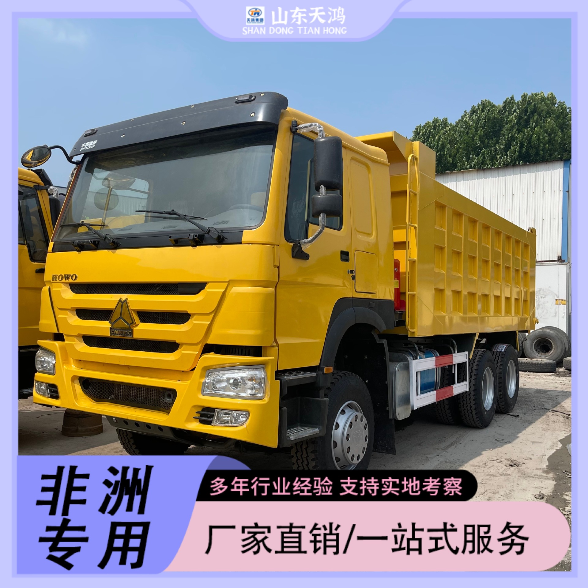 Chinese Heavy-Duty Truck Howo Sinotruk Dump Truck Tractor Truck for Export Direct Sale to Africa Engineering Special Vehicles