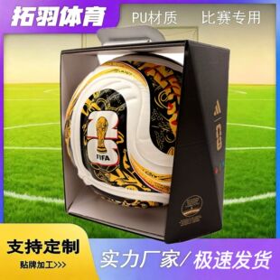 2026�Qِ����ī���籭����5̖��C�p��ճ����ŮӖ�������l�� ��