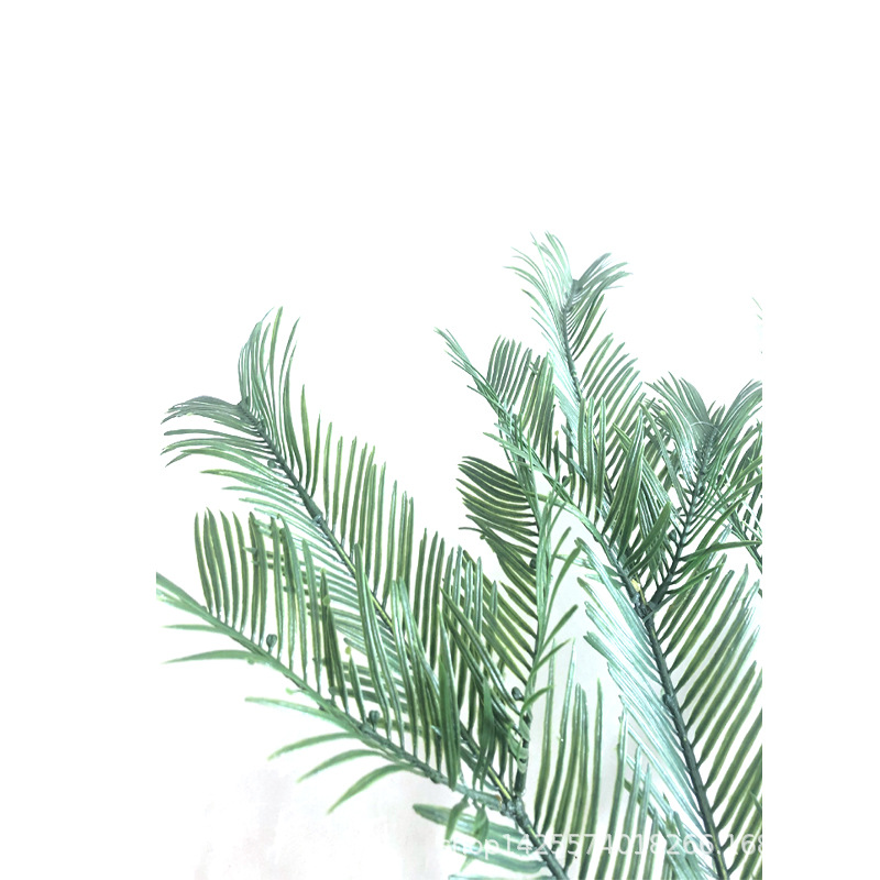 XRB-146 红豆杉3叉枝 (4).jpg