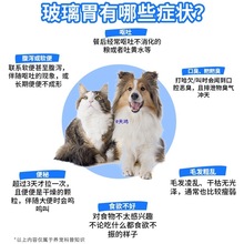 9鲜肉乳鸽全价犬粮8 幼犬成犬狗粮鸭肉梨大小型犬狗粮通用型