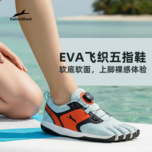 Gallonshark��������ָ��ֺЬ�҃Ƚ������Ӳ��������ɽ�ܲ��\��