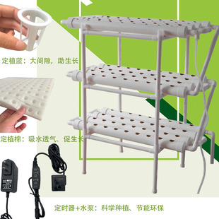 �̨�ܵ�ʽˮ���߲˷Nֲ�C�o�������O��ˮ��ϵ�y���w���ӷN�˼�
