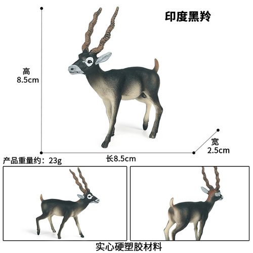 Children's science and education simulation animal model toy solid static Indian black antelope Tibetan antelope decorative ornaments hand figure
