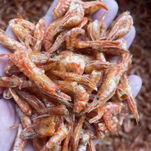 ���r��؛��ˮ�r�ɲ��ʳ��ˮ�a��؛��ɫ���С�~�r�����l�[�ؔ�