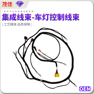 Factory Customization of High Temperature Resistant Customized Automotive Wiring Harnesses for Various Electric Vehicle Cable Assemblies with Ul Certifications