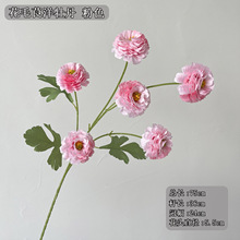 �¿�3�^��ëݢ��c��Y�û���·���廨�b��滨�Ɍ��쾰�ɏ��