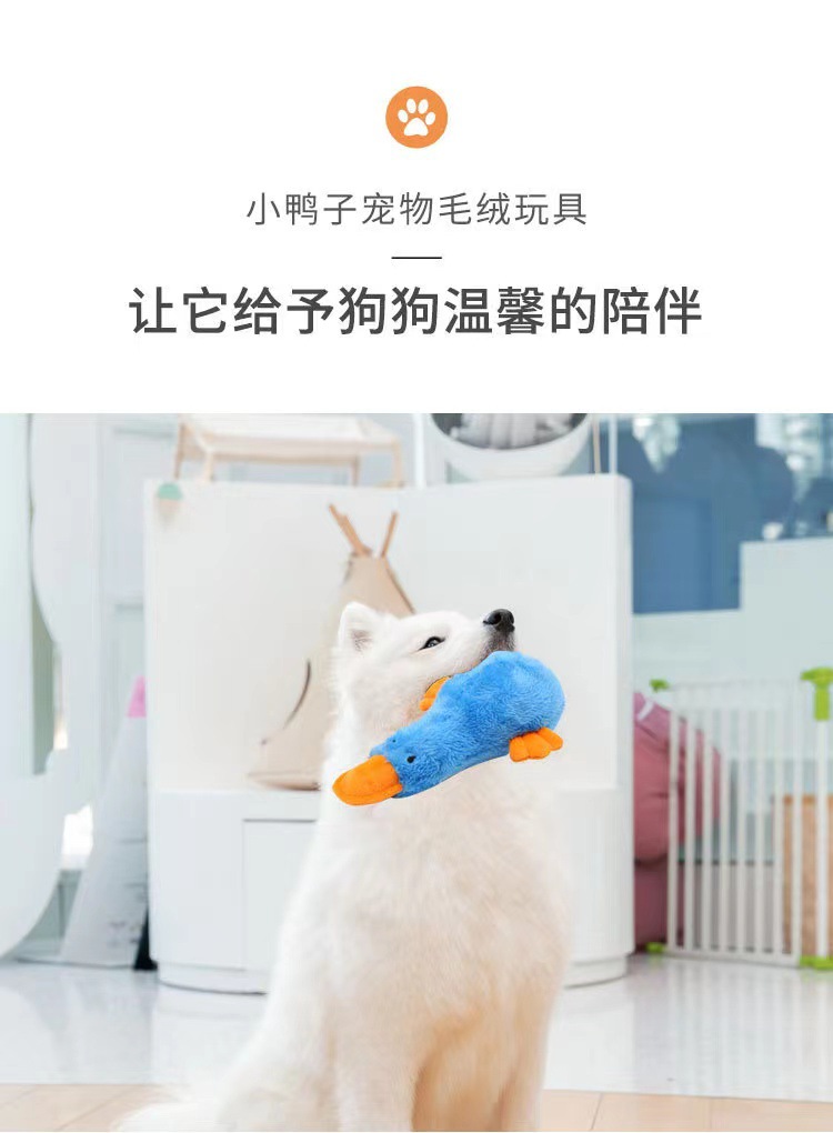 hmqViviiyNSAyin7WuaStwsY6MqTHIkL1DqR