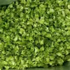 FD broccoli whole flower 20g/pack