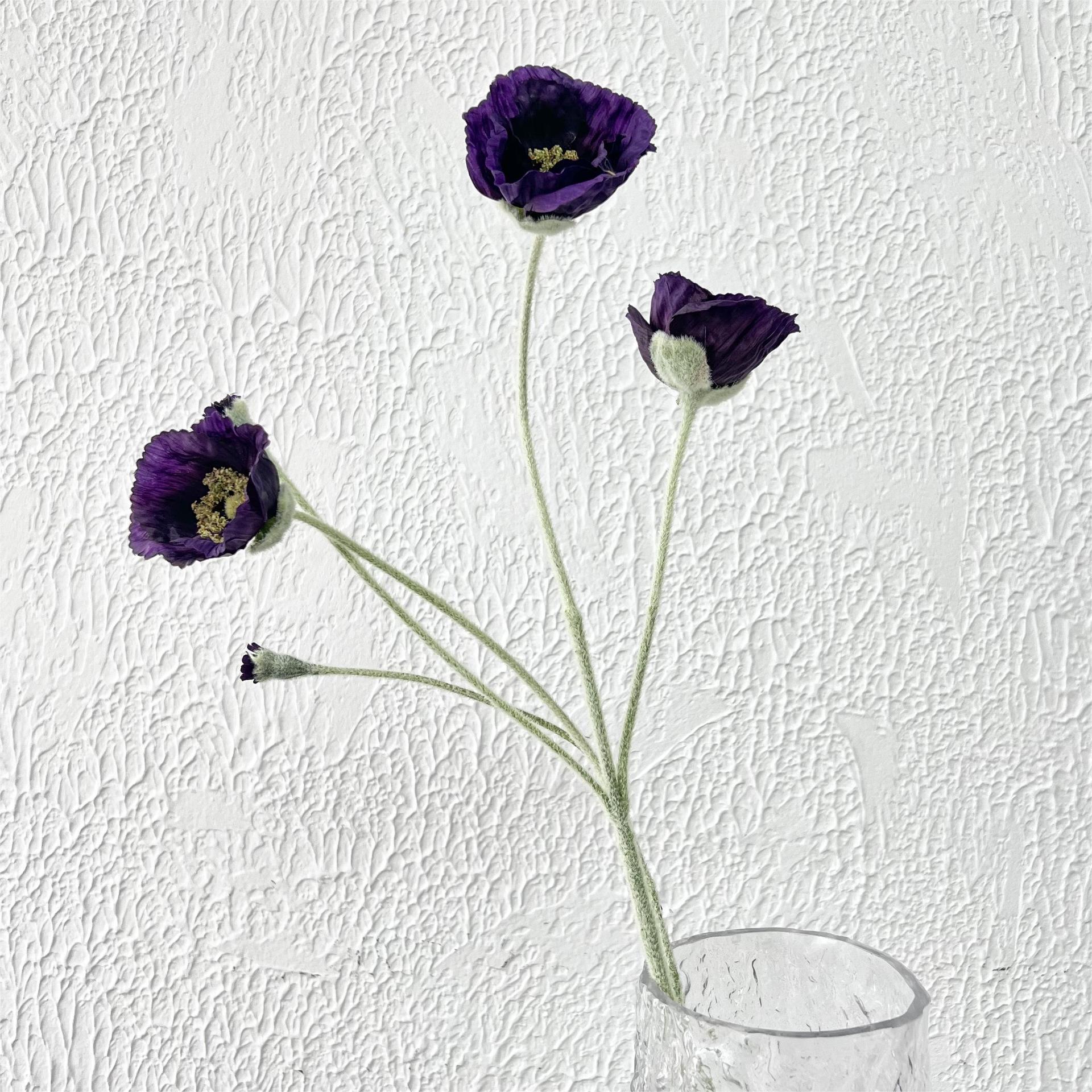 Amapola de 5 cabezas de color morado oscuro