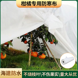 �S�����a�����o���� ֲ����ٷ������ط�ˮ͸������o����