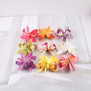 ����ޥ�m���^�l�A��c�b��^��zƬ�����������P�l�l�A�^��߅�A