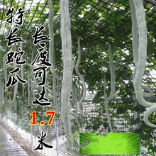 l߹ϷN߶ǷNL߶ļr@ɫ߲˷N