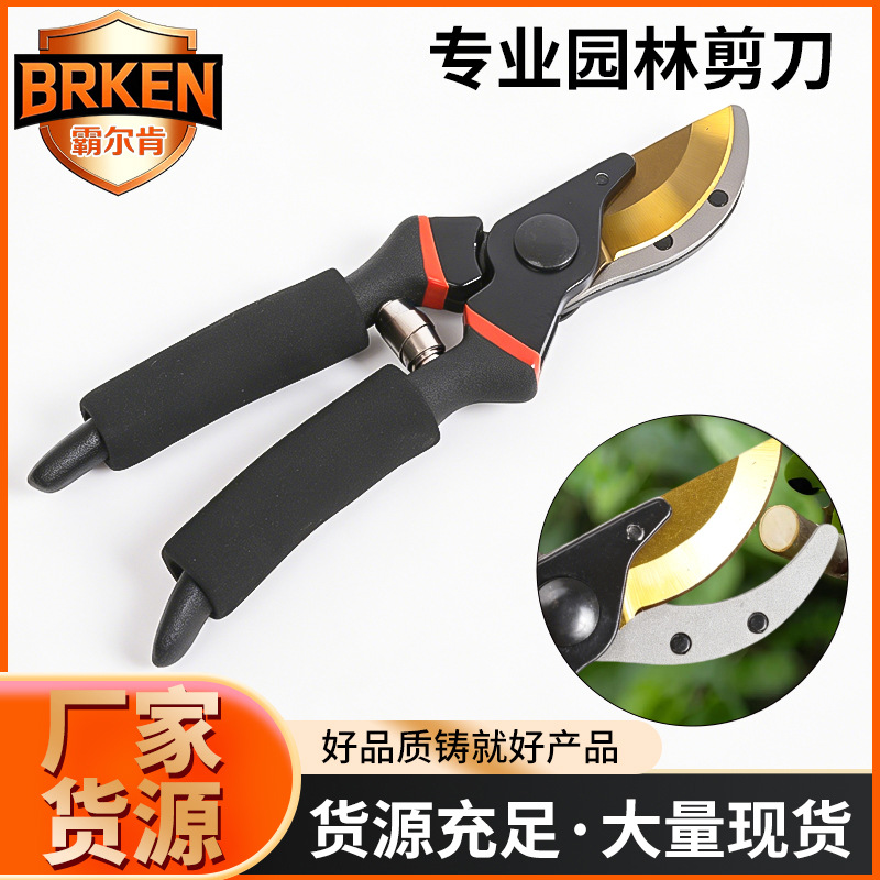 霸尔肯专业园林修枝剪锋利防滑手柄果树花艺修剪专业耐用园艺剪刀