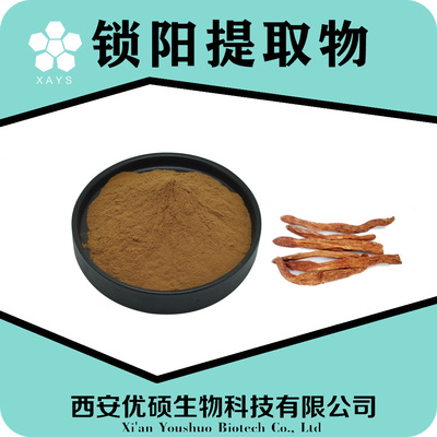 Cynomorium extract Water soluble Cynomorium powder have other Cynomorium Content 98% SC Excellent Master Cynomorium songaricum extract powder