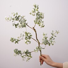 ��Ʒ�|����ֲ��͏d��֦���~��֦�쾰�҃ȾGֲ���^�º��Ļ�ľ�٘�