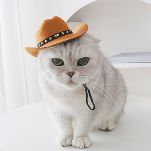 Pet Supplies New Sun Hat Western Cowboy Style Persian Cat Special Outing Fashion Kitten Hat Headwear