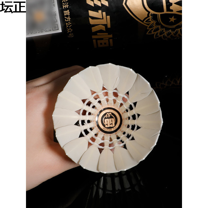 精彩G6羽毛球反洗鹅毛球专业训练比赛用球12只装飞行稳定耐打|undefined