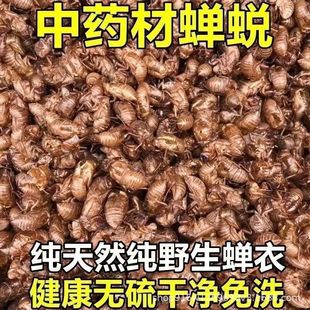 ��ș���s͑ �x͑ �s�� ֪��Ƥ Ұ����eɽҰ���a��؛Դˮϴ