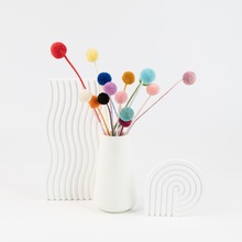 金绣球种子黄金球金槌花籽阳台室内外盆栽春播夏开花DIY干花材料