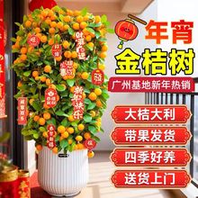 �ļ���ۘ����Ԏ������������������^����Ә�Gֲ�҃ȿ͏d�[�T��