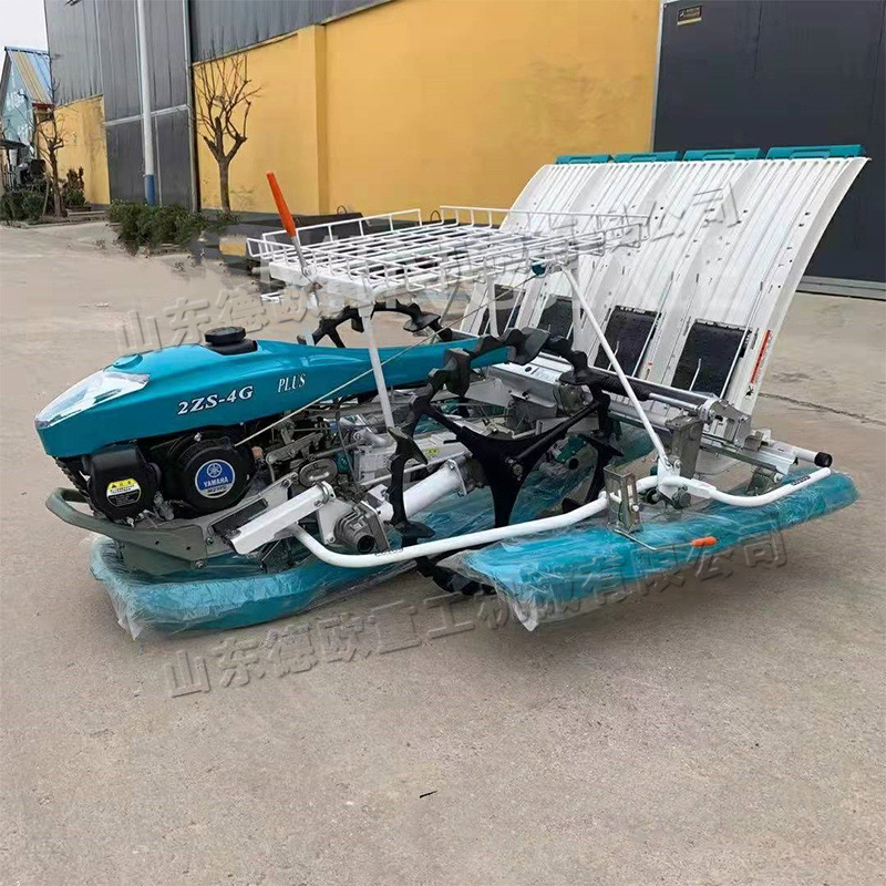 手扶步进式水稻插秧机 6行水稻秧苗栽秧机 农用禾苗栽苗工具