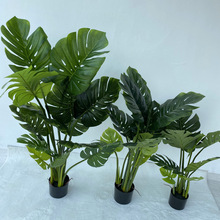 �zӡ�z���������������� ���ͱ��Wins�����٘� �͏d�Ӽ�����쾰