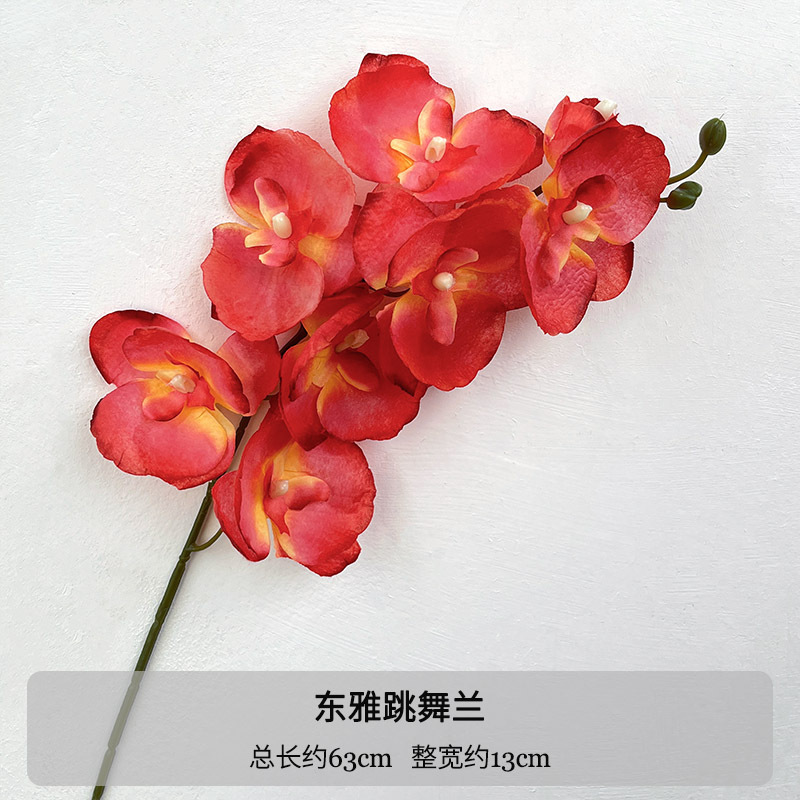 1 Dongya Phalaenopsis laranja-vermelho