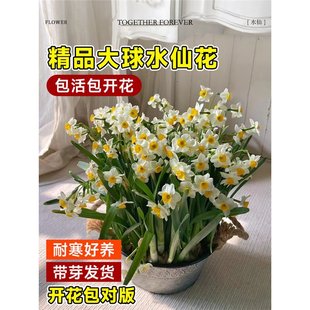 �ذ�����ˮ�ɻ��N��N��ˮ�B�ļ��҃����_���ܶ���ˮ��ֲ�������