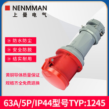 ����늚�NENMMAN��̖TYP:1245��ˮ���I�B��������63A����5��IP44